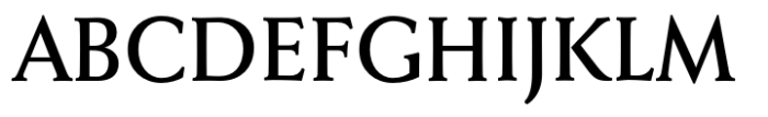 Faber Serif Pro 65 Kraeftig Font UPPERCASE