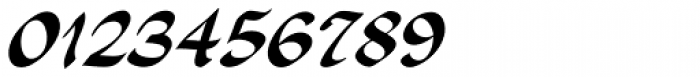 Fabius Italic Font OTHER CHARS