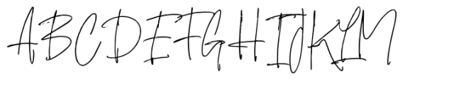 Falsoky Signature Brush Font UPPERCASE