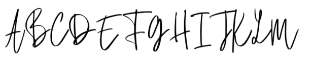 Fanidess Signature Brush Font UPPERCASE
