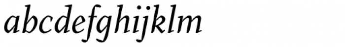 Farrerons Serif Italic Font LOWERCASE