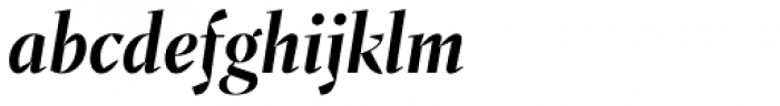 Fazeta Display Bold Italic Font LOWERCASE