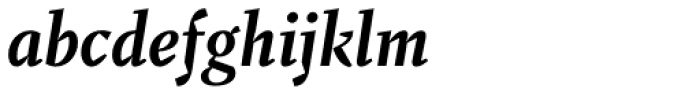 Fazeta Text Bold Italic Font LOWERCASE