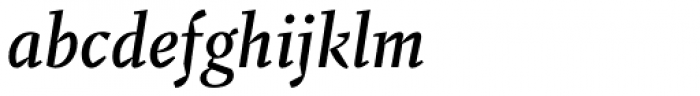 Fazeta Text Medium Italic Font LOWERCASE