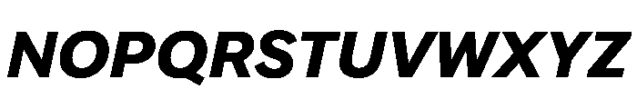FAIRELumaSans BlackItalic Instance Font UPPERCASE
