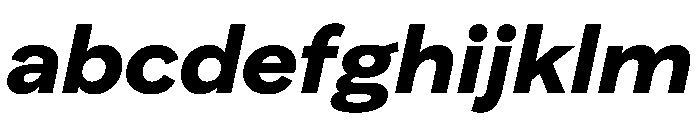 FAIRELumaSans BlackItalic Instance FONT