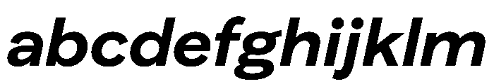 FAIRELumaSans BoldItalic Instance FONT