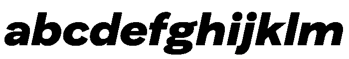 FAIRELumaSans SuperItalic Instance FONT