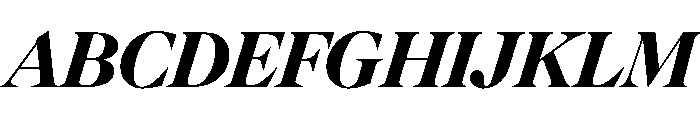 FAIREOctave DisplayBlackItalic Instance Font UPPERCASE