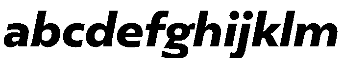 FAIREPalme BlackItalic Instance FONT