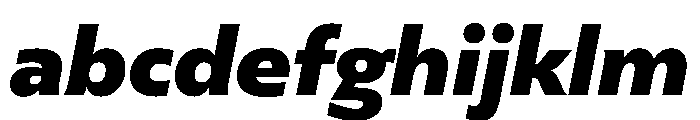 FAIREPalme SuperItalic Instance FONT