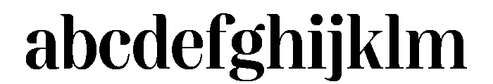 FAIREPrint Bold Instance FONT