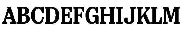 FAIREPrint SlabBlack Instance Font UPPERCASE
