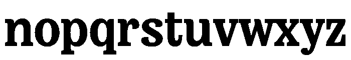 FAIREPrint SlabBlack Instance Font LOWERCASE