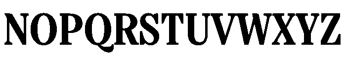 FAIREPrint TextBlack Instance Font UPPERCASE