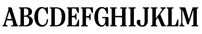 FAIREPrint TextBold Instance Font UPPERCASE