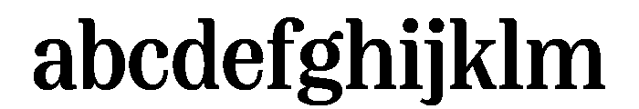 FAIREPrint TextBold Instance FONT
