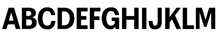 FAIREPrintSans Black Instance Font UPPERCASE