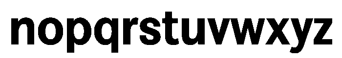 FAIREPrintSans Black Instance Font LOWERCASE