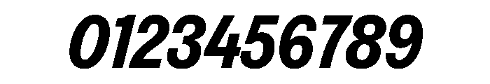 FAIREPrintSans BlackItalic Instance Font OTHER CHARS