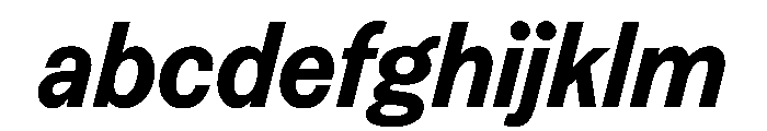 FAIREPrintSans BlackItalic Instance FONT