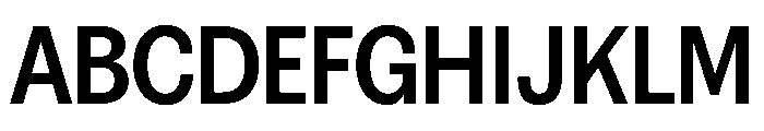 FAIREPrintSans Bold Instance Font UPPERCASE
