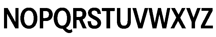 FAIREPrintSans Bold Instance Font UPPERCASE