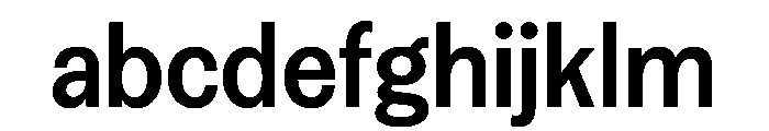 FAIREPrintSans Bold Instance FONT