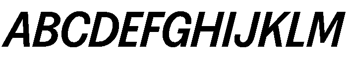 FAIREPrintSans BoldItalic Instance Font UPPERCASE