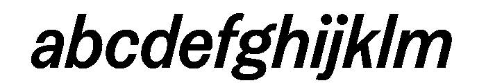 FAIREPrintSans BoldItalic Instance FONT