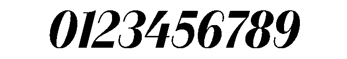 FAIREPrintSans FineBlackItalic Instance Font OTHER CHARS