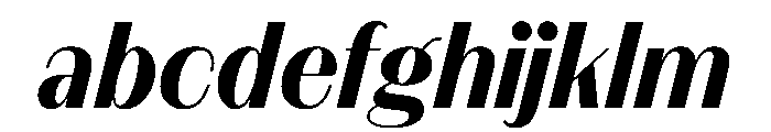 FAIREPrintSans FineBlackItalic Instance FONT