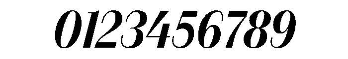 FAIREPrintSans FineBoldItalic Instance Font OTHER CHARS