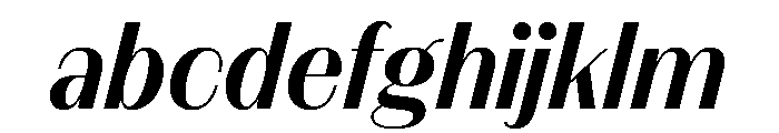 FAIREPrintSans FineBoldItalic Instance FONT