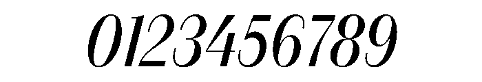 FAIREPrintSans FineRegularItalic Instance Font OTHER CHARS