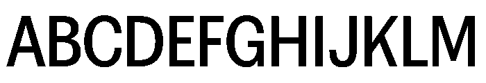 FAIREPrintSans Medium Instance Font UPPERCASE