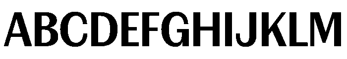 FAIREPrintSans TextBlack Instance Font UPPERCASE