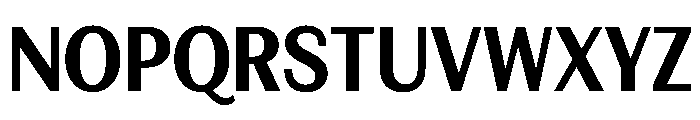 FAIREPrintSans TextBlack Instance Font UPPERCASE