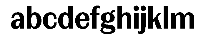 FAIREPrintSans TextBlack Instance FONT