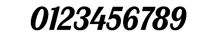FAIREPrintSans TextBlackItalic Instance Font OTHER CHARS