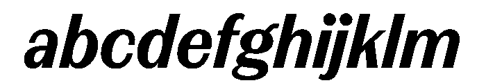 FAIREPrintSans TextBlackItalic Instance FONT
