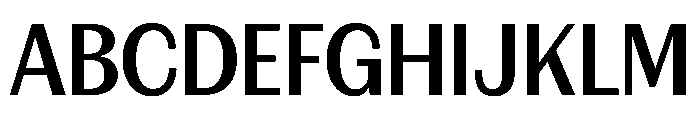 FAIREPrintSans TextBold Instance Font UPPERCASE