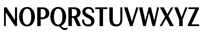 FAIREPrintSans TextBold Instance Font UPPERCASE