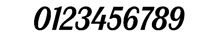 FAIREPrintSans TextBoldItalic Instance Font OTHER CHARS
