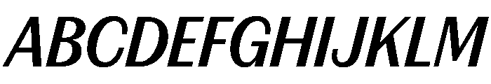 FAIREPrintSans TextBoldItalic Instance Font UPPERCASE
