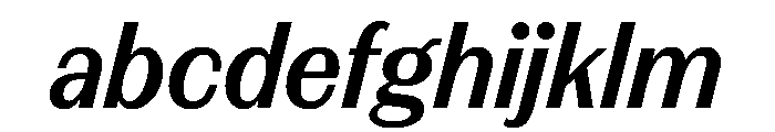 FAIREPrintSans TextBoldItalic Instance FONT