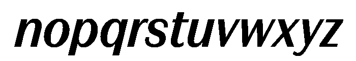 FAIREPrintSans TextBoldItalic Instance Font LOWERCASE
