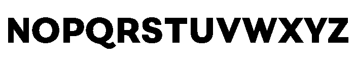 FAIRESprigSans Black Instance Font UPPERCASE