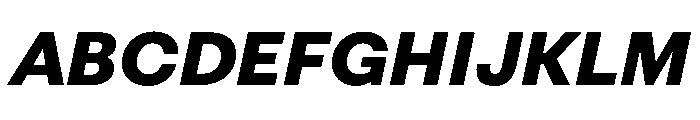 FAIRESprigSans BlackItalic Instance Font UPPERCASE