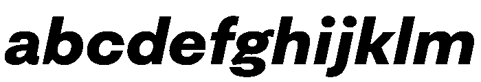 FAIRESprigSans BlackItalic Instance FONT
